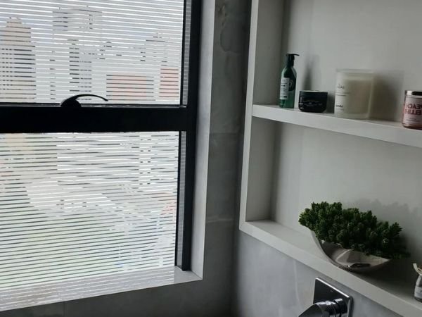 Películas traseiras automotivas em Santos